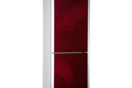 Дебют месяца: новый холодильник