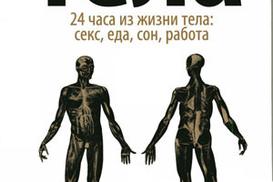Краткая история человеческого тела. 24 часа из жизни тела: секс, еда, сон, работа