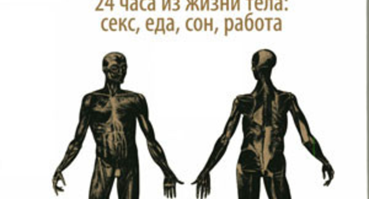 Краткая история человеческого тела. 24 часа из жизни тела: секс, еда, сон, работа