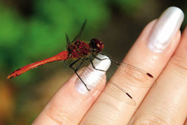 Чем грозит частая смена работы