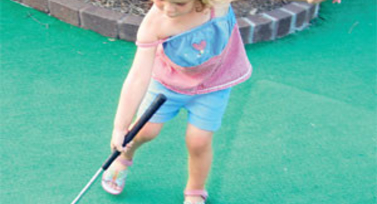 Сколько стоит домашняя площадка для мини-гольфа