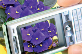 Камерофон вместо фотоаппарата?