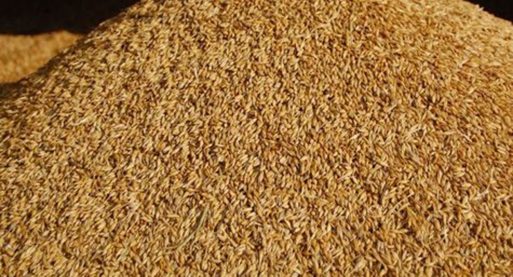 Стало известно, сколько было украдено из Госрезерва Украины