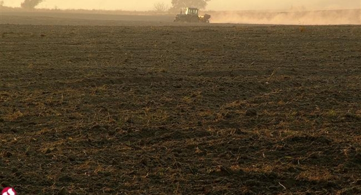 Глава Госгеокадастра: На распродажу земли из госфонда уйдут годы