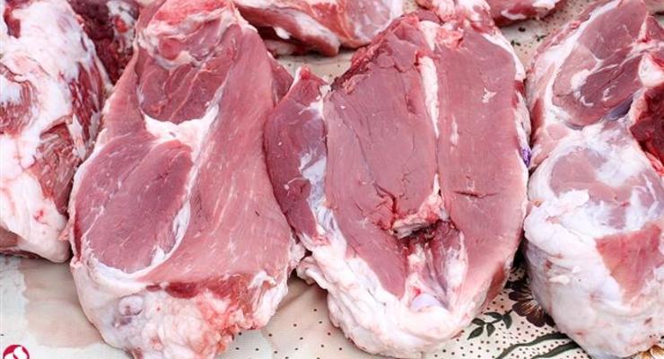 Экспорт мяса в ЕС начнется не скоро - глава Госпродпотребслужбы