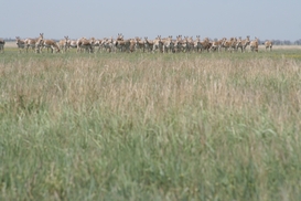 Не забыть сделать в апреле