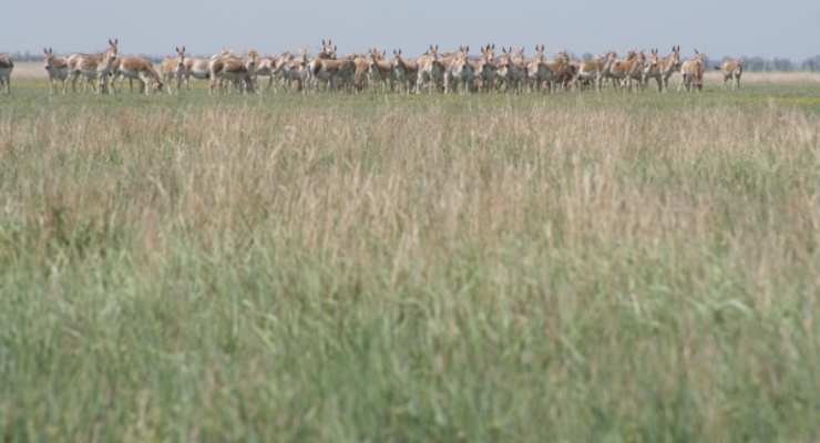 Коллаж: Dengi.ua