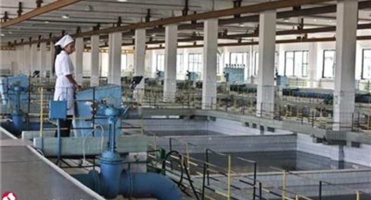 Киевводоканал сменил проблемный Хрещатик на банк Порошенко