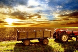 За счет чего выросла доля АПК в общей структуре экспорта