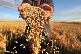 Новый глава Минагрополитики хочет обсудить с МВФ льготы для АПК