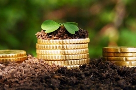 Дешевле не бывает: почему стоимость земли в 11 раз ниже реальной