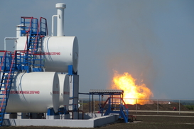 В Украине обнаружили крупное месторождение нефти