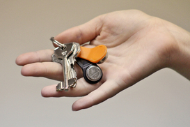 Какое жилье можно арендовать на $100 в разных городах Украины