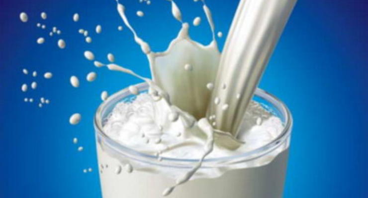 В Украине резко подешевеет молоко - прогноз ООН