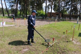 ЕС предложил Раде подготовить закон для разминирования Донбасса