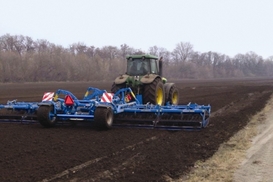 Как построить бизнес на выращивании орехов