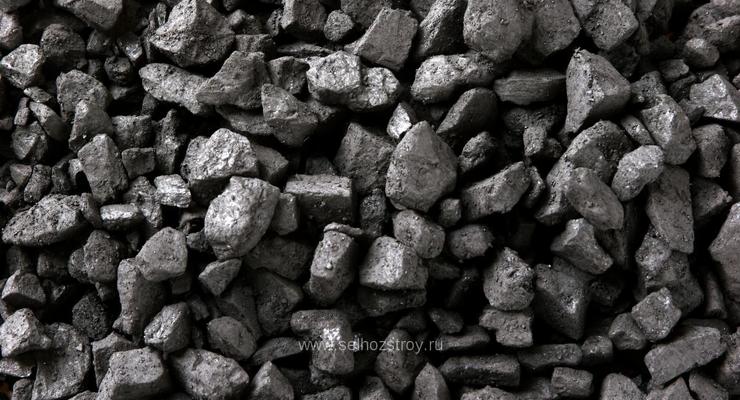 Украина не будет закупать уголь из ЮАР в этом году - Насалик