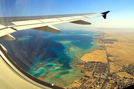 Почти 80% туроператоров могут лишить лицензии