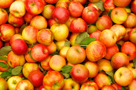 В Украине подешевели яблоки