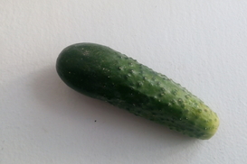 Александр Крамаренко: Усталый огурец