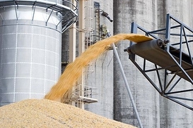 Государственная корпорация построит собственный терминал в порту