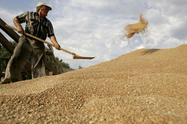 Аграрный фонд выплатил государству дивиденды за 2015 год