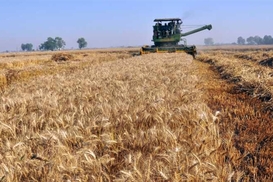 Украина установила новый рекорд по экспорту зерновых