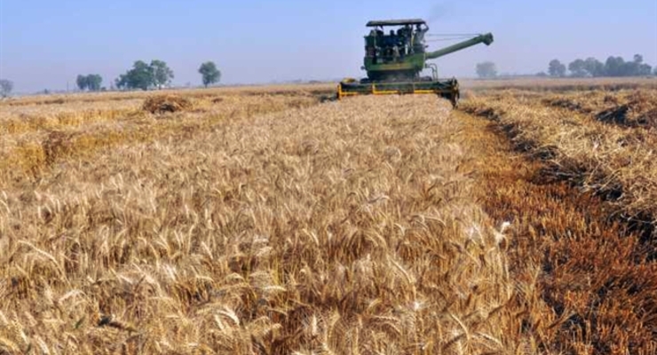 Украина установила новый рекорд по экспорту зерновых