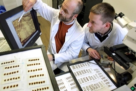 Украинские ученые предлагют президенту создать инновационный институт