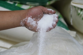 Производство сахара в Украине может вырасти