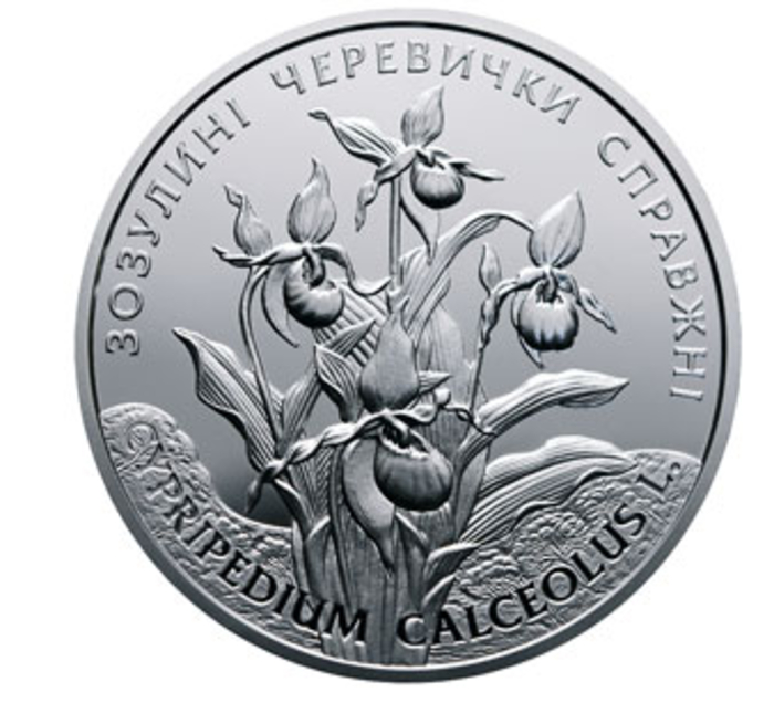 Нацбанк ввел новые монеты в Украине