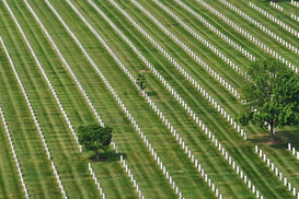 Бизнес-классом на тот свет: Во сколько обойдутся элитные похороны
