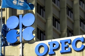 Мировой спрос на нефть будет расти - ОПЕК