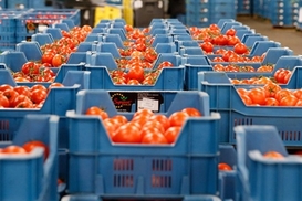 Россия продлила срок уничтожения продукции из США, ЕС, Украины