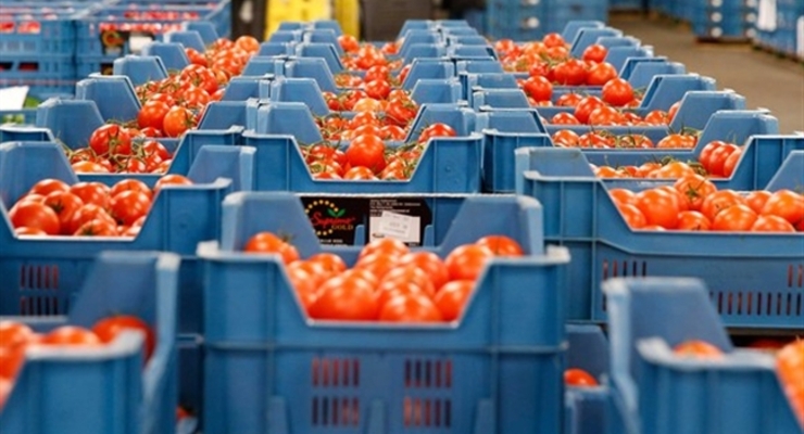 Россия продлила срок уничтожения продукции из США, ЕС, Украины