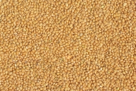 Facebook помог житомирской агрофирме найти заказчика в ЮАР