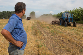 Украина ищет замену российским удобрениям