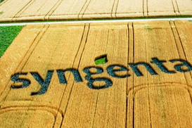 Китайцы покупают Syngenta за $43 млрд