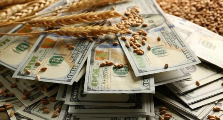 Зерновое пике: Чем Украине грозит обвал цен на пшеницу