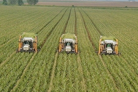 Мрия получила частичный доступ к захваченному АТП