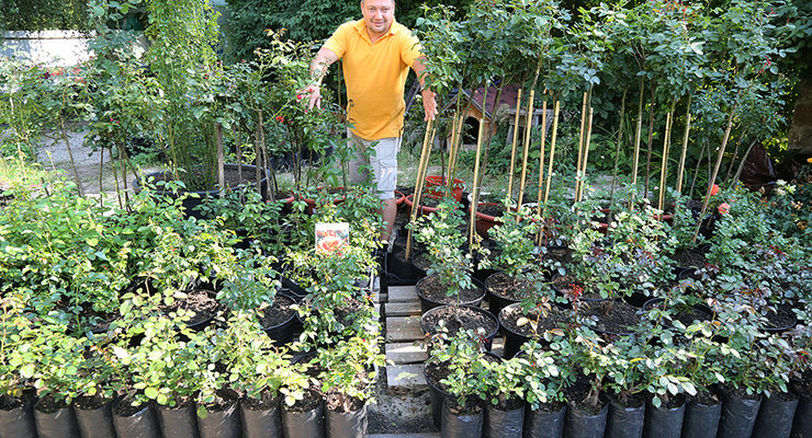 Коллаж: Dengi.ua