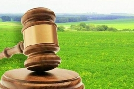 Земля онлайн: Как купить участок в интернете