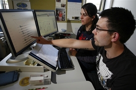 В Украине ожидается рост IT-специалистов