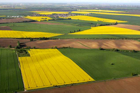 Минагрополитики выступает за поэтапный запуск рынка земли