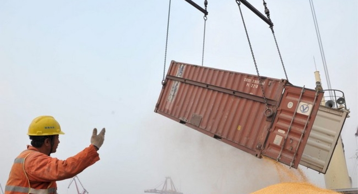 Китай может отказаться от украинской кукурузы