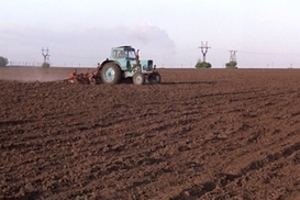 Стоимость сельхозземли в Украине может вырасти в несколько раз