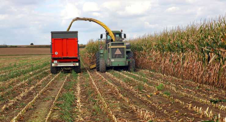 ua.depositphotos.com/