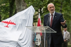 Польша обсуждает с украинскими компаниями производство вертолетов