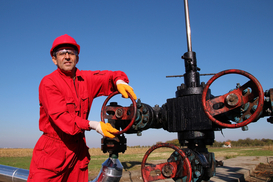 Украина может начать поставки нефти в Беларусь