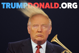 За создание сайта с именем Трампа грозит штраф